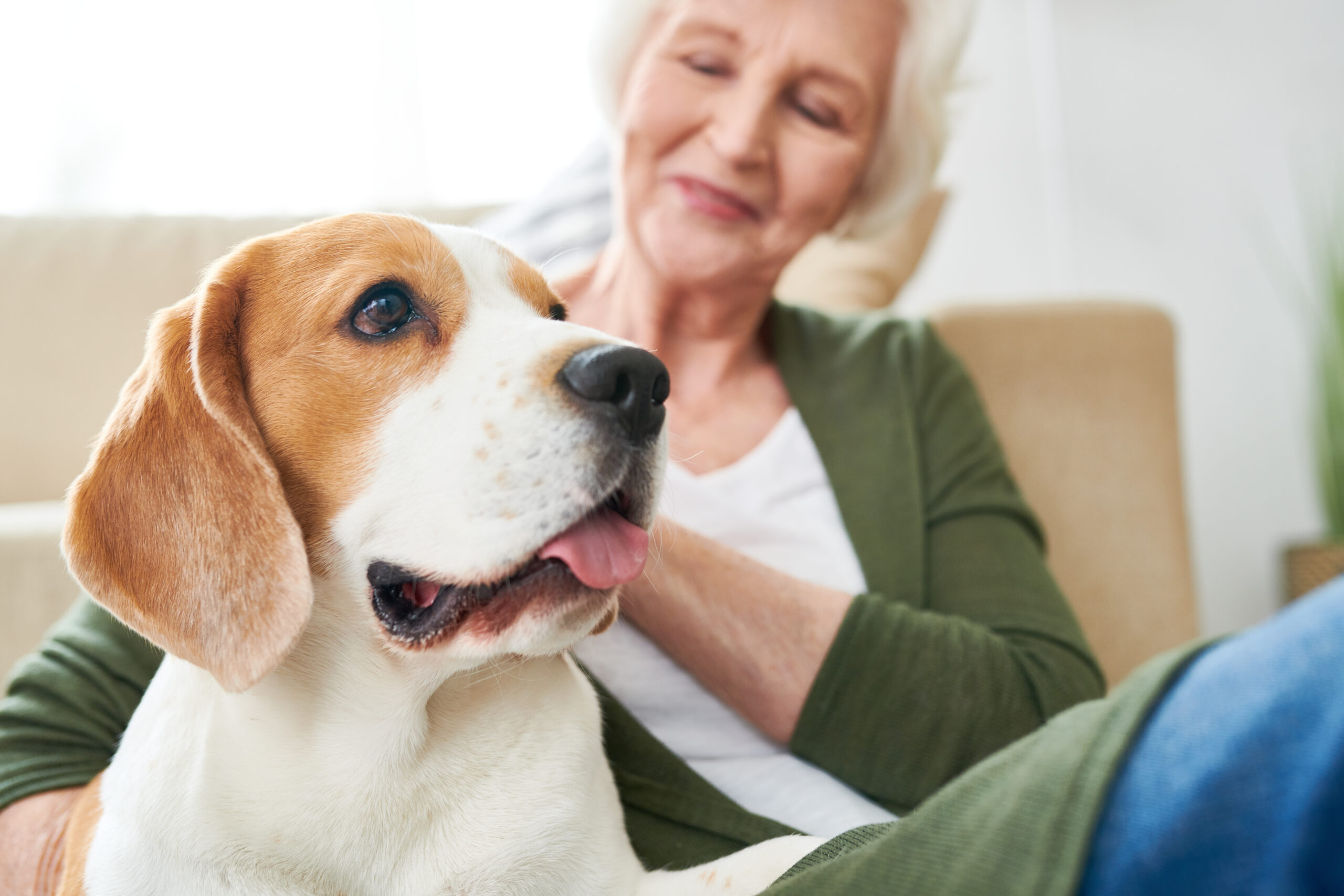 Seniors Care
